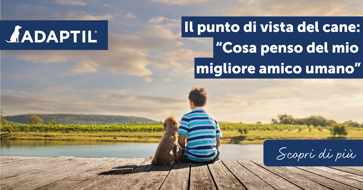 Il punto di vista del cane: “Cosa penso del mio migliore amico umano”