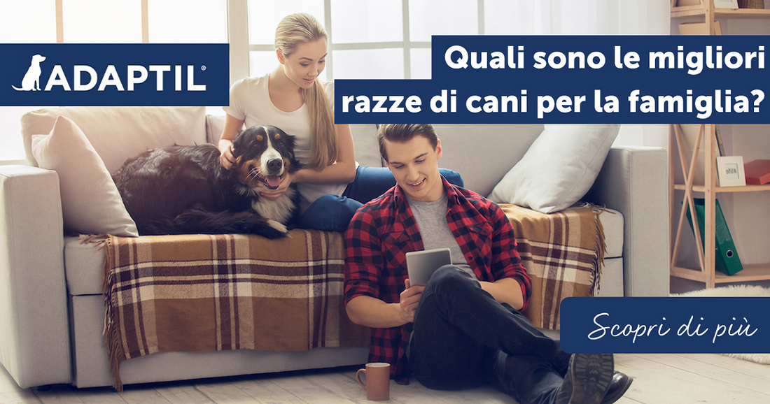 Quali sono le migliori razze di cani per la famiglia?