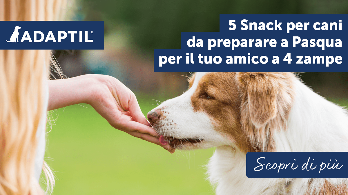 5 snack per cani da preparare a Pasqua per il tuo amico a 4 zampe