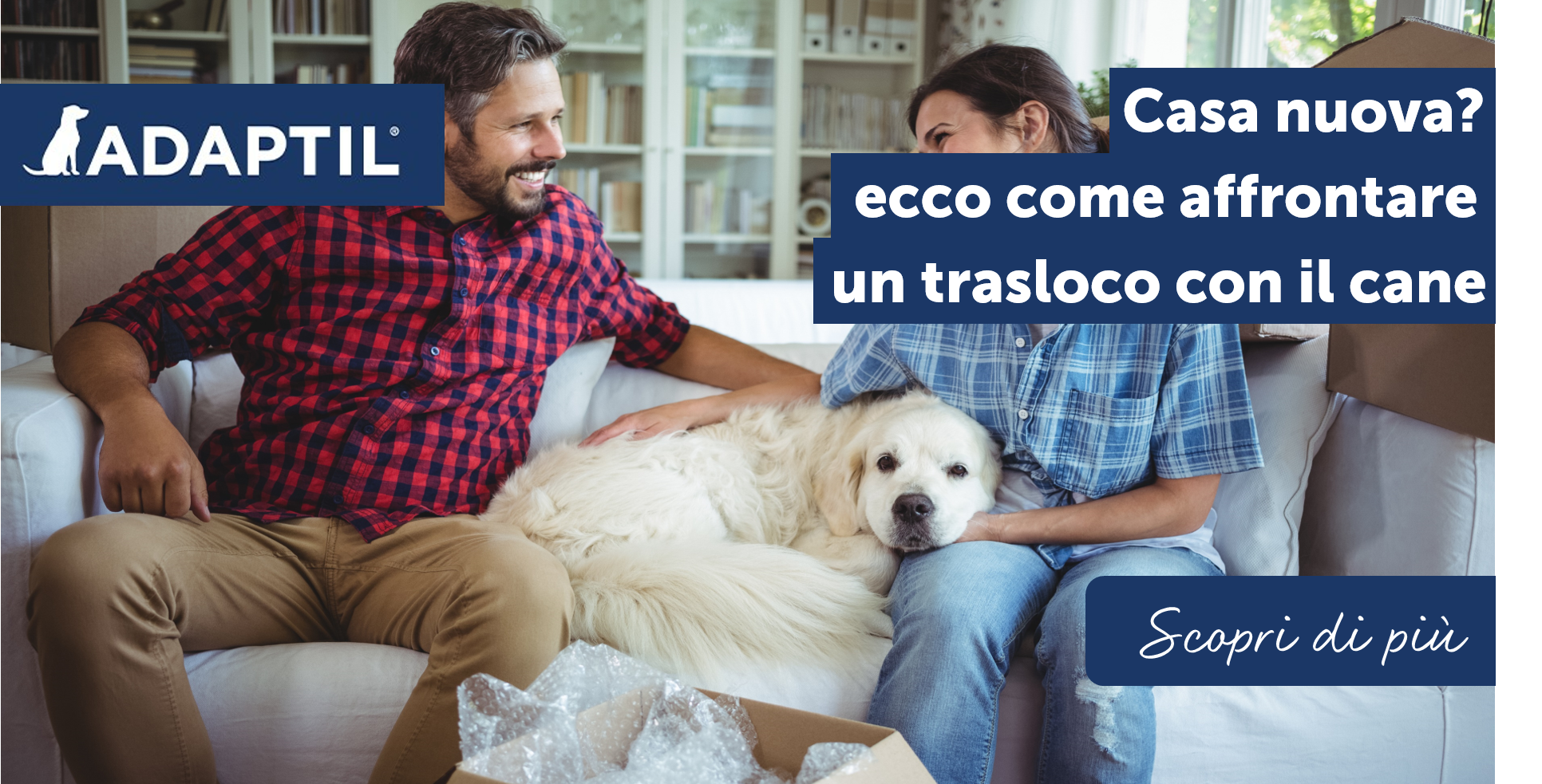 Casa nuova? Ecco come affrontare un trasloco con il cane