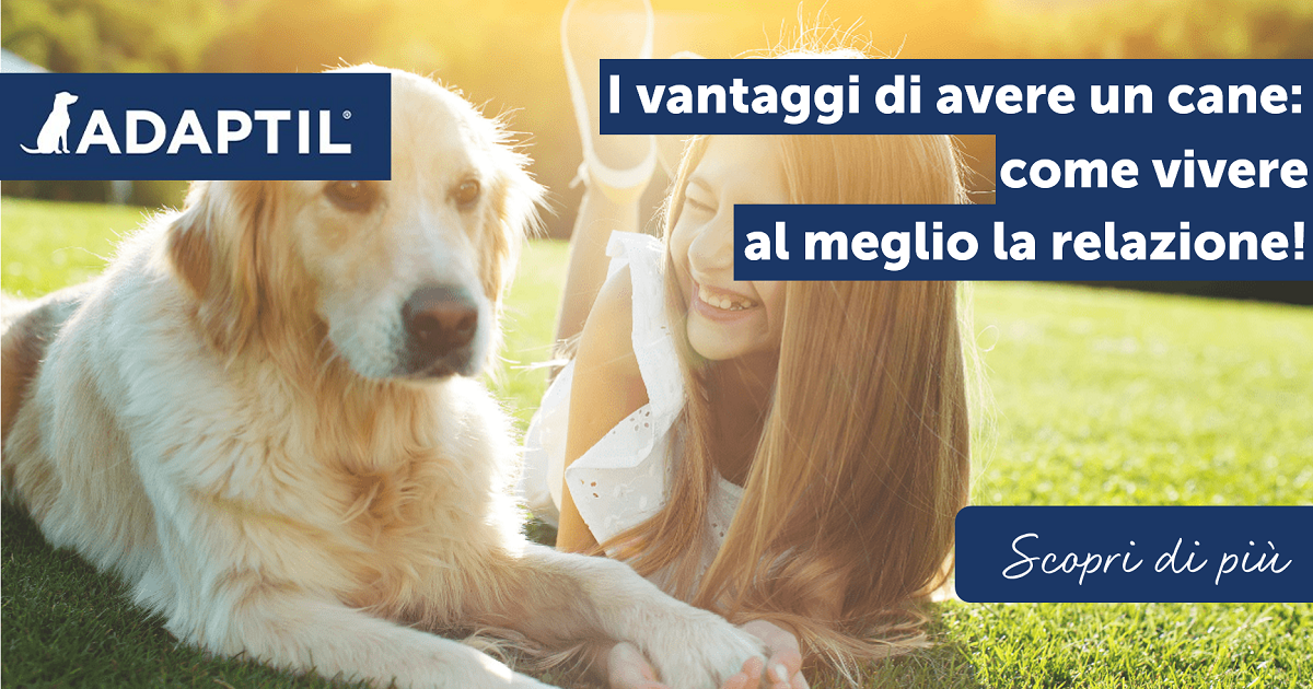 I vantaggi di avere un cane: come vivere al meglio la relazione!