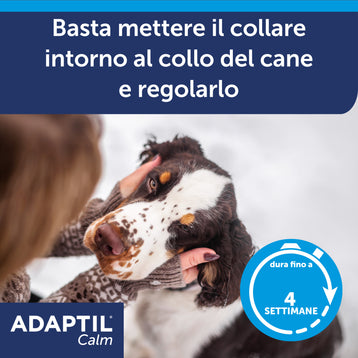 ADAPTIL Calm Collare