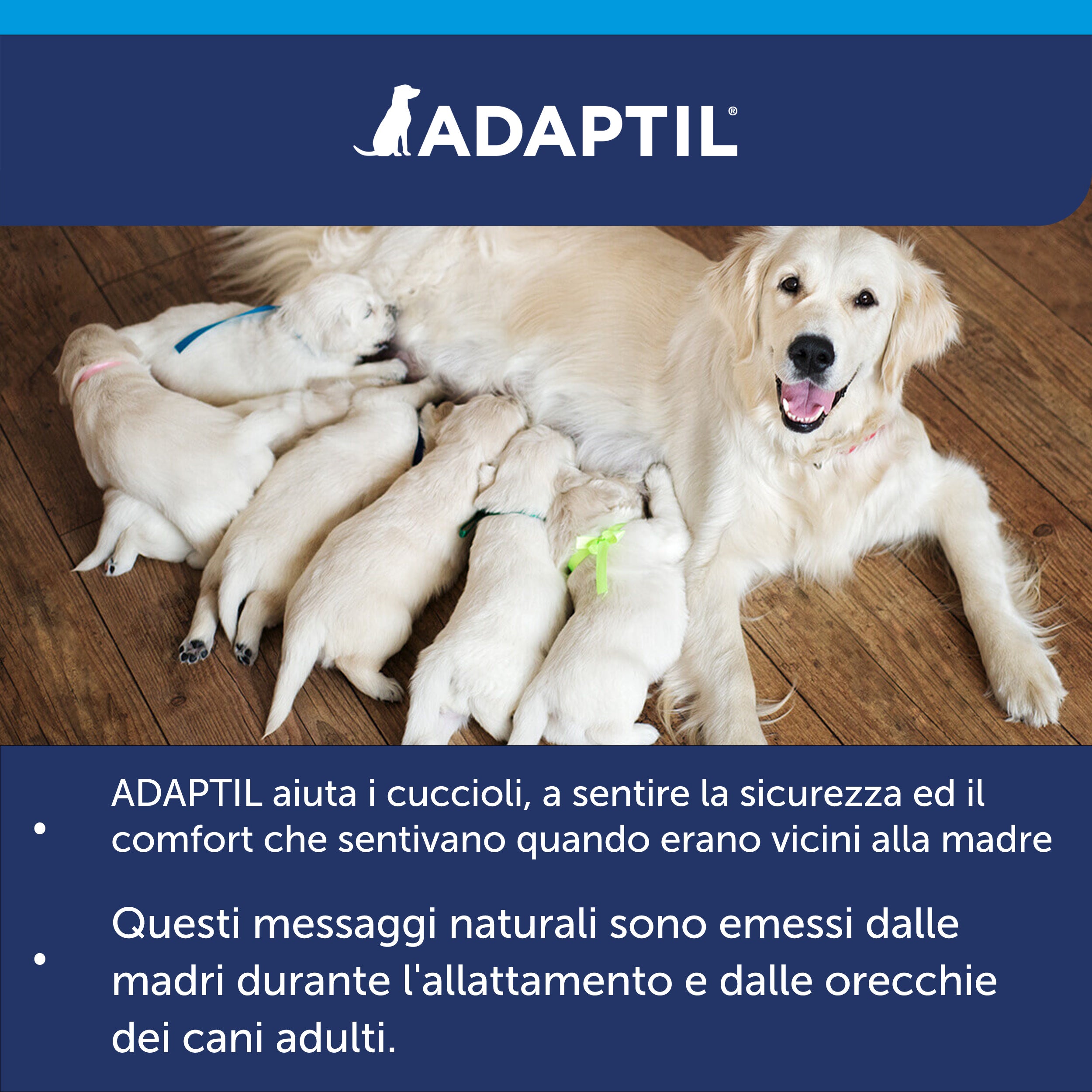 ADAPTIL Calm Diffusore