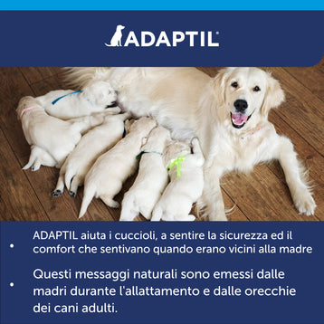 ADAPTIL Calm Collare