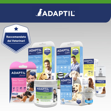 ADAPTIL Chew