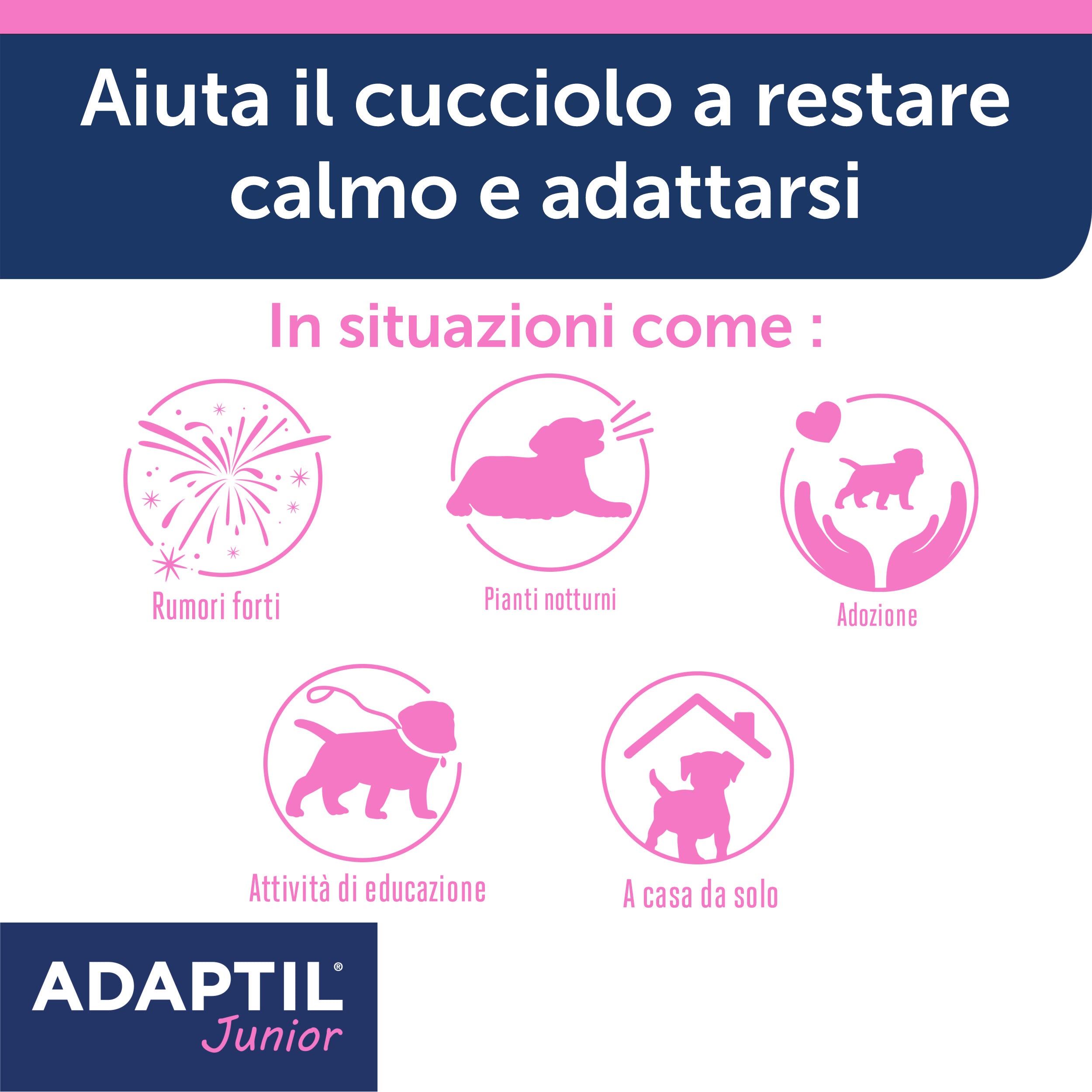 ADAPTIL Junior Collare