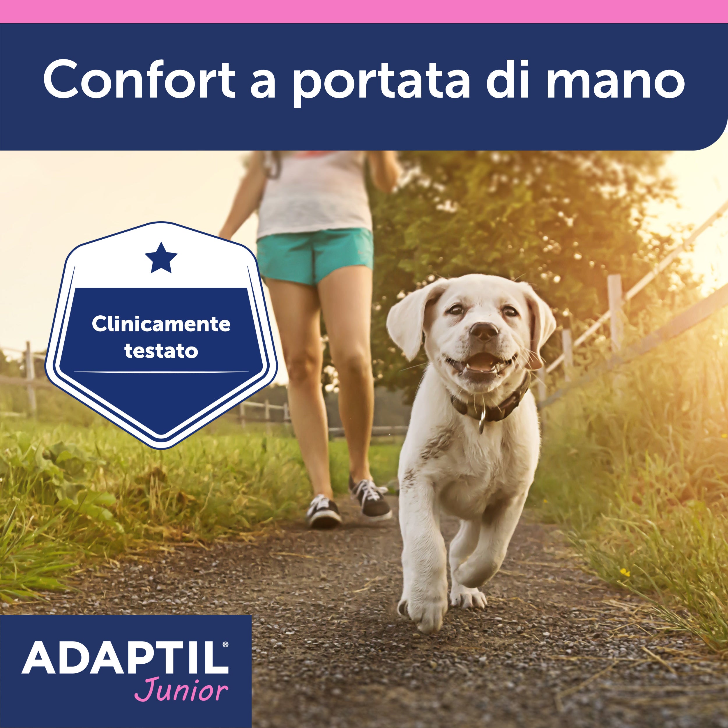 ADAPTIL Junior Collare