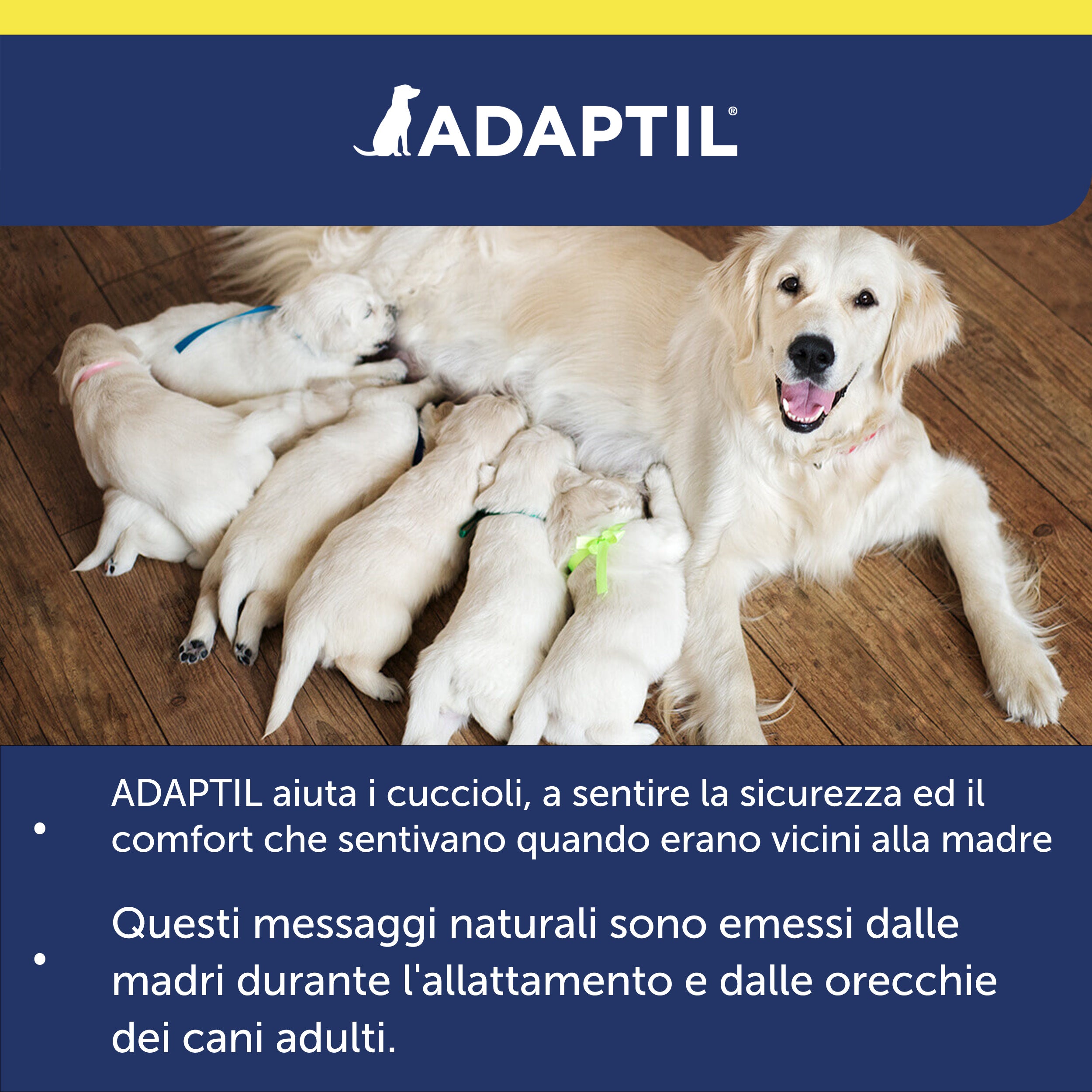 ADAPTIL Transport Spray