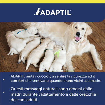 ADAPTIL Transport Spray