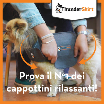 ThunderShirt Cappottino Calmante