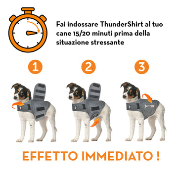 ThunderShirt Cappottino Calmante