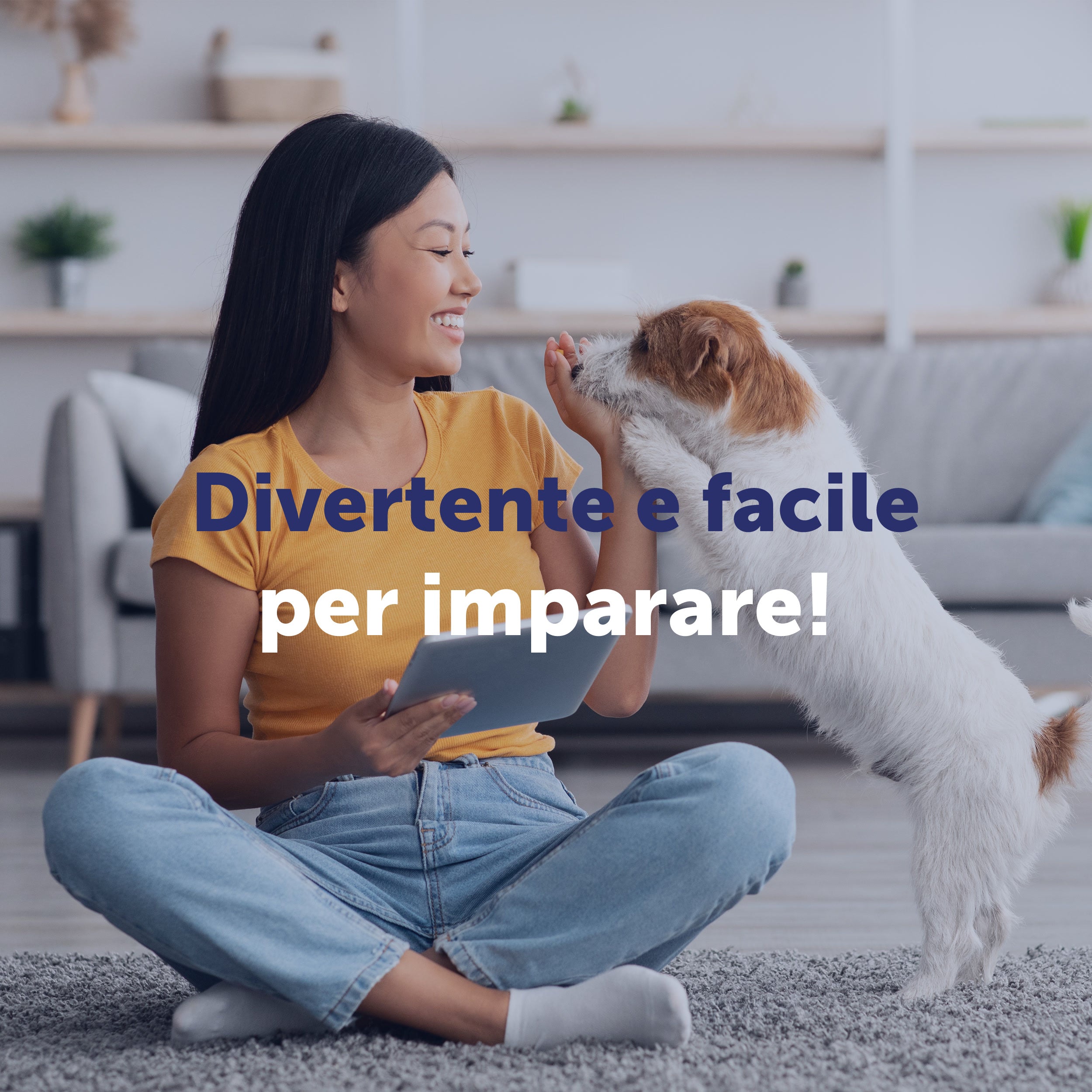 Corso on-line Dog Body Language