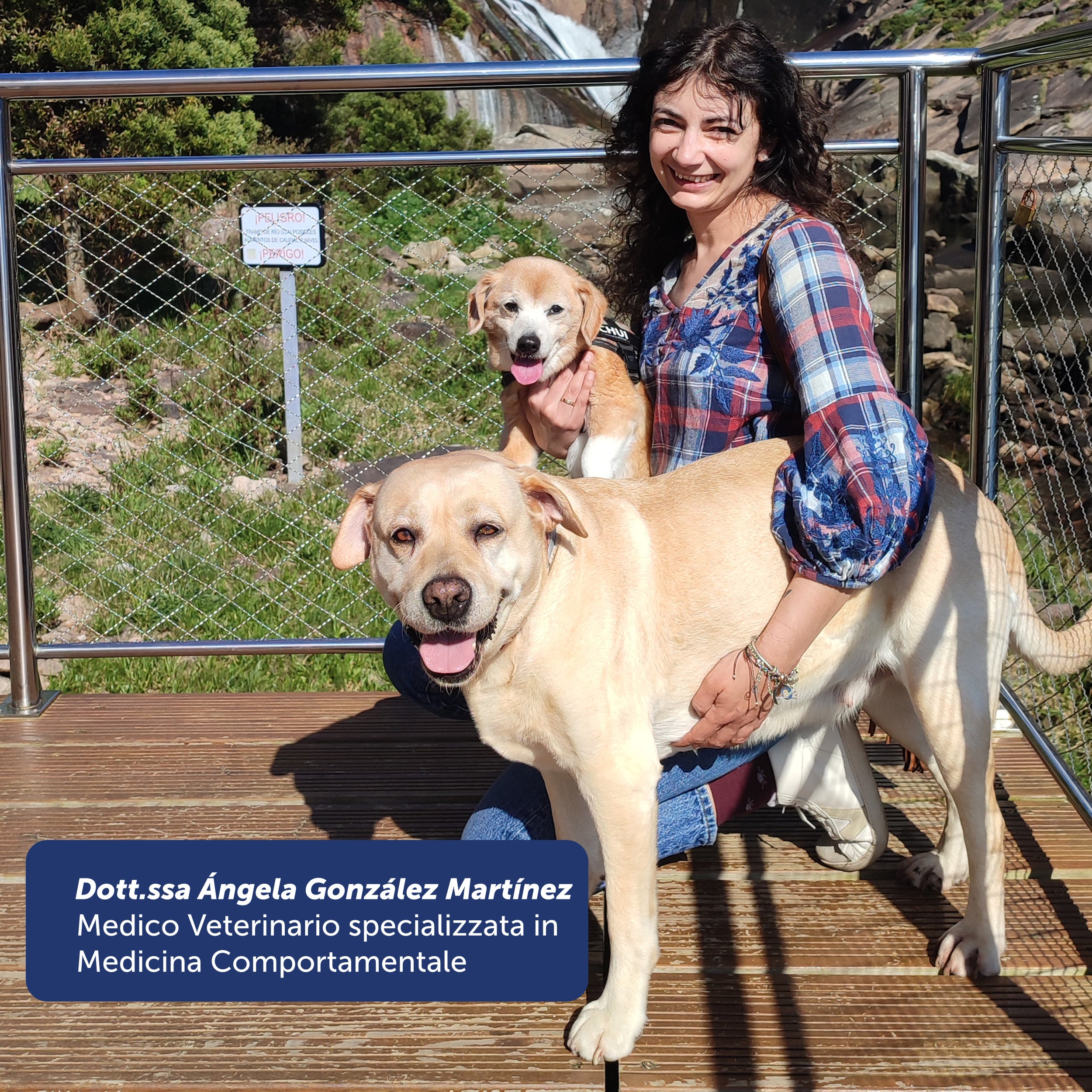 Corso on-line Dog Body Language