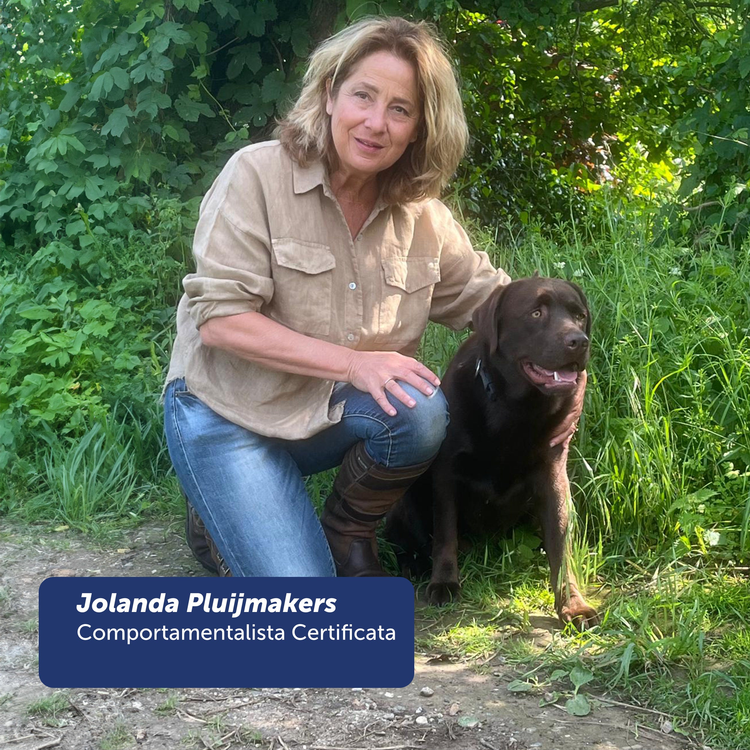 Corso on-line Dog Body Language