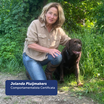 Corso on-line Dog Body Language