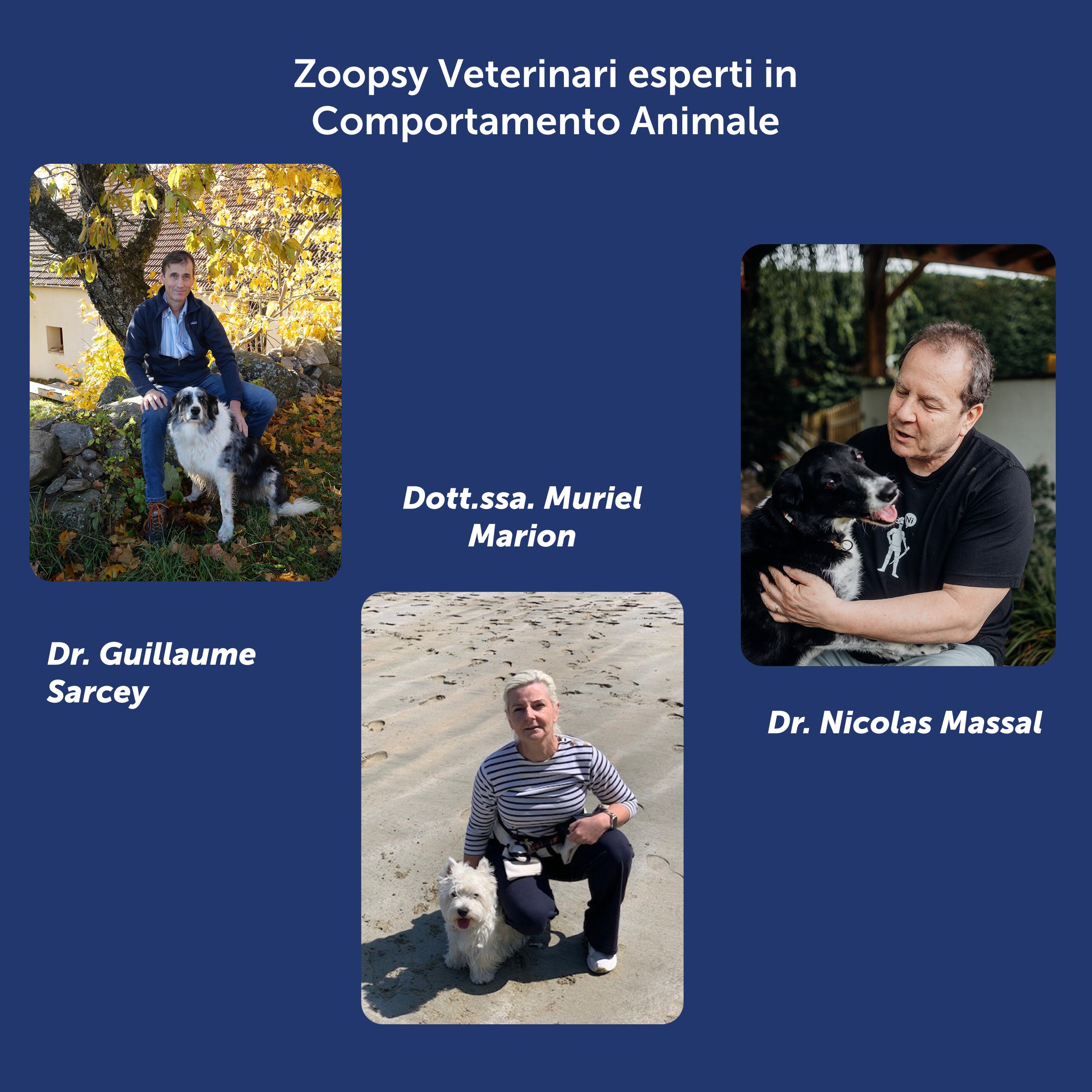 Corso on-line Dog Body Language