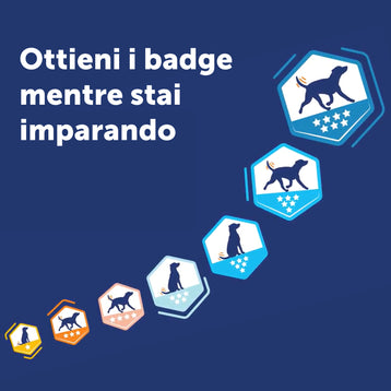 Corso on-line Dog Body Language