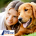 Corso GRATUITO Dog Body Language