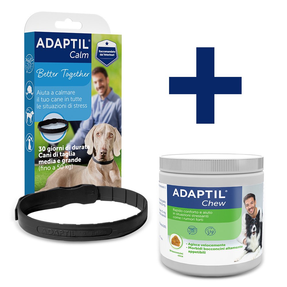 Routine Relax Ottimale - Taglia grande