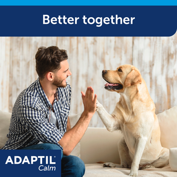 ADAPTIL Calm Ricarica